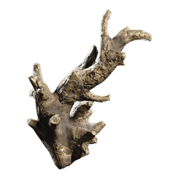 Fossilized Lightning